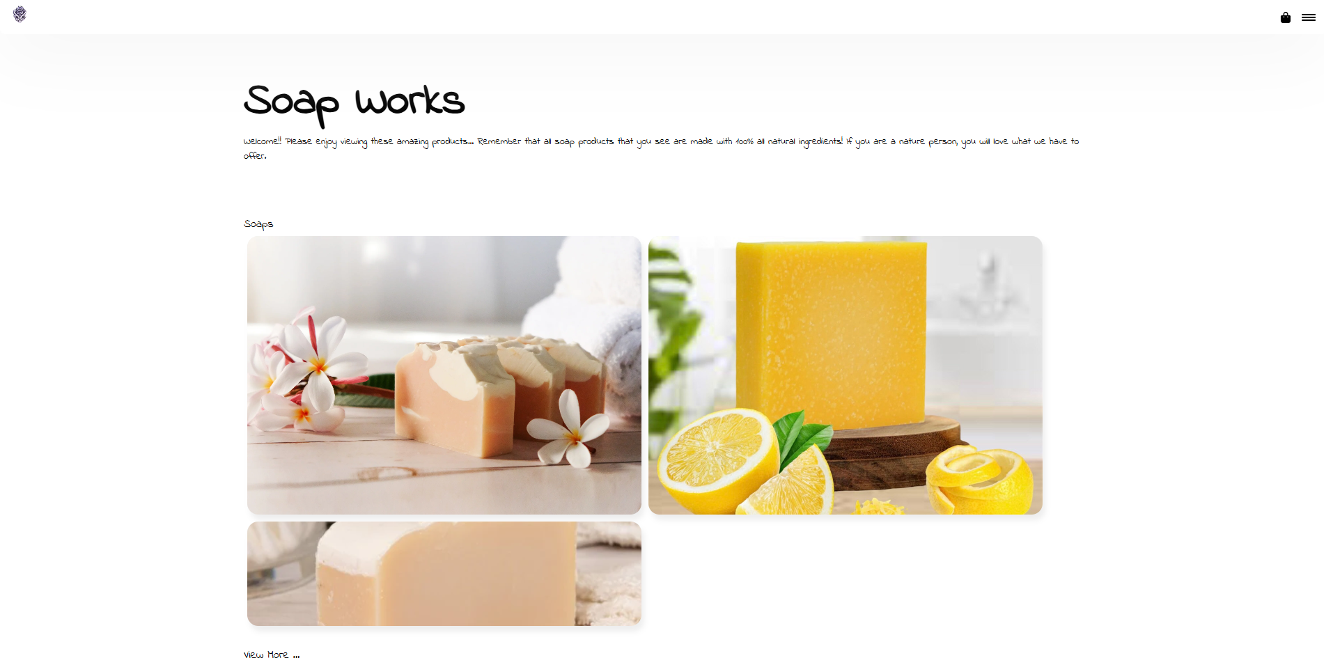 project Soap Works